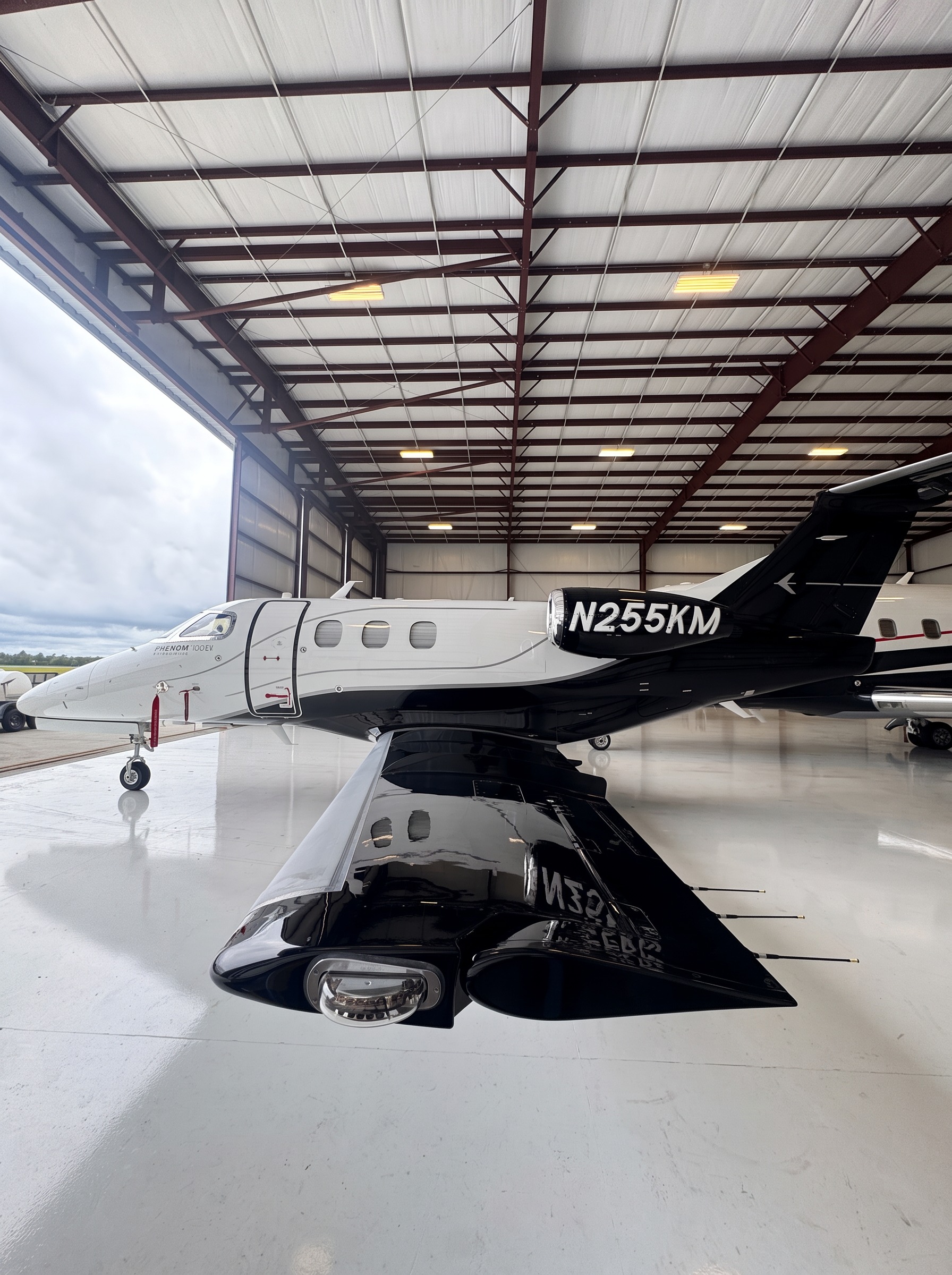Aircraft detailing