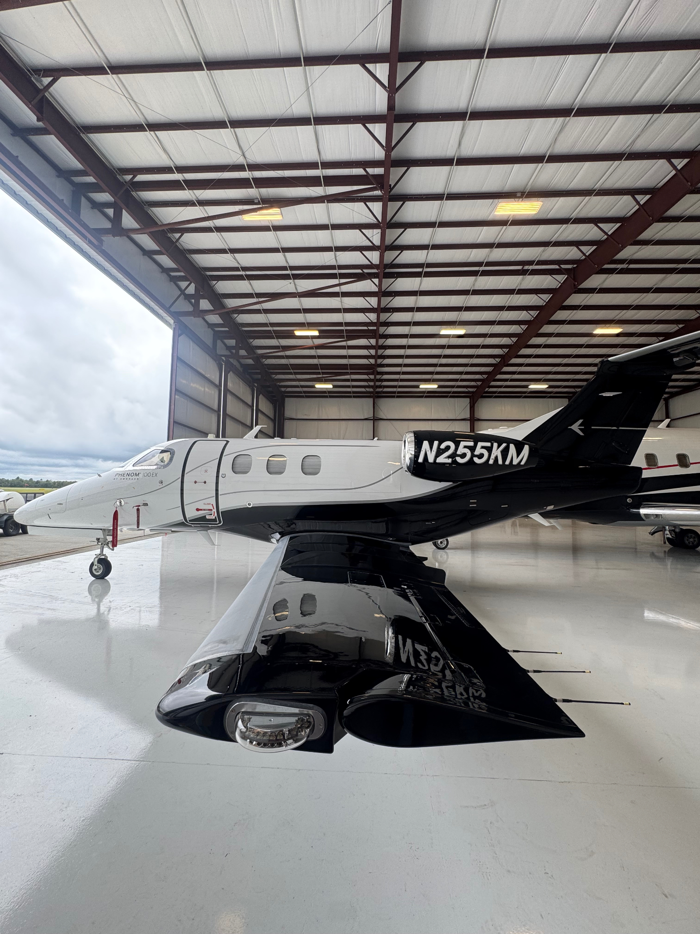 Aircraft detailing