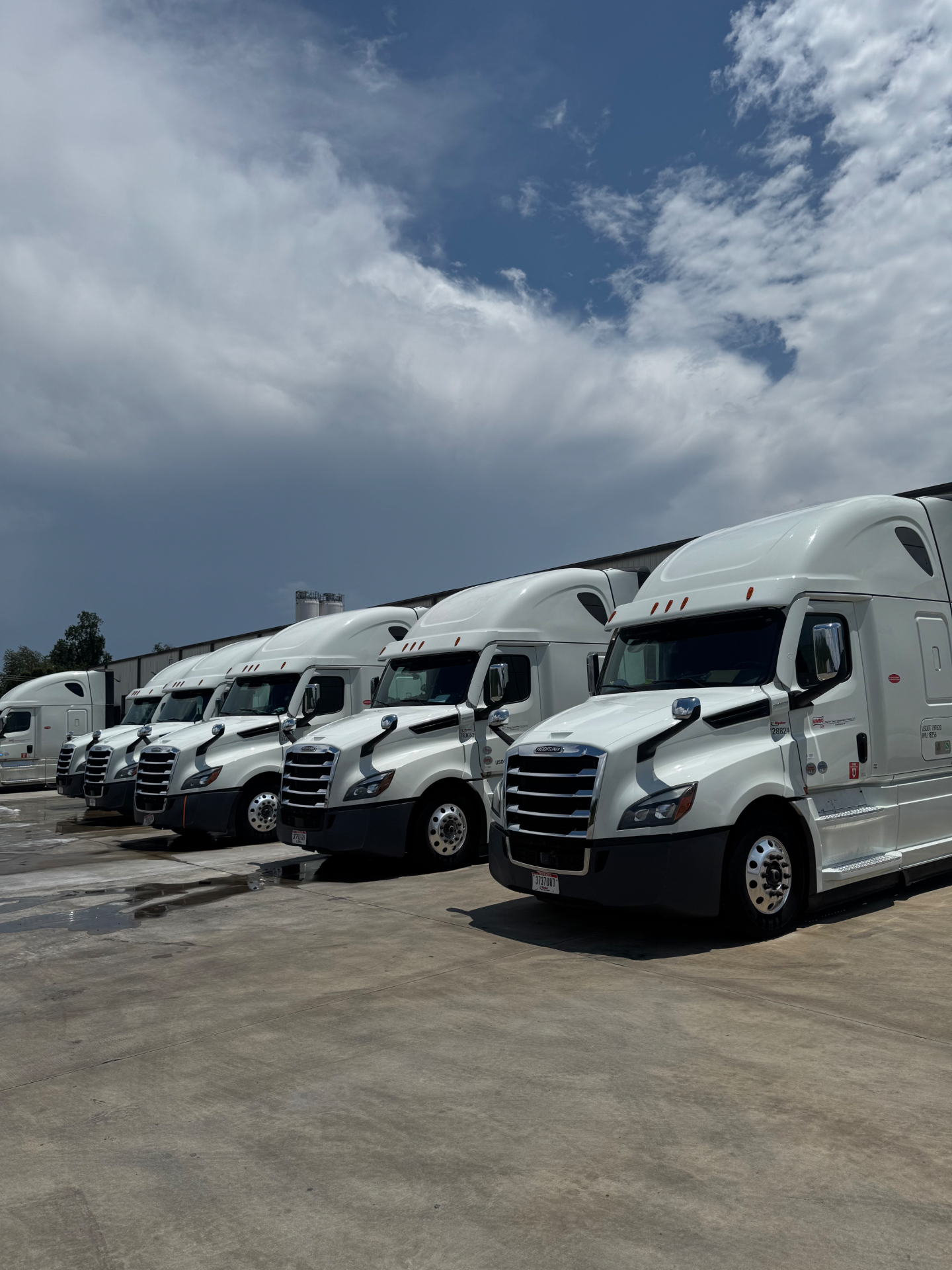 Fleet & Commercial detailing